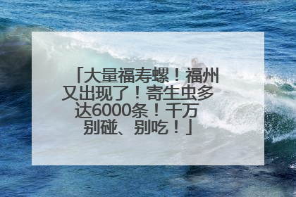 大量福寿螺！福州又出现了！寄生虫多达6000条！千万别碰、别吃！