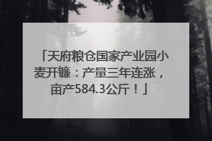 天府粮仓国家产业园小麦开镰：产量三年连涨，亩产584.3公斤！