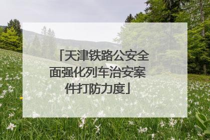 天津铁路公安全面强化列车治安案件打防力度