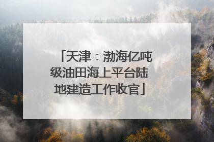 天津：渤海亿吨级油田海上平台陆地建造工作收官