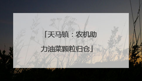 天马镇：农机助力油菜颗粒归仓