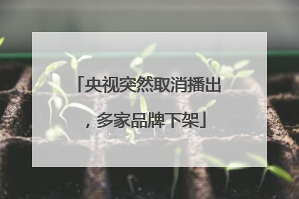 央视突然取消播出，多家品牌下架