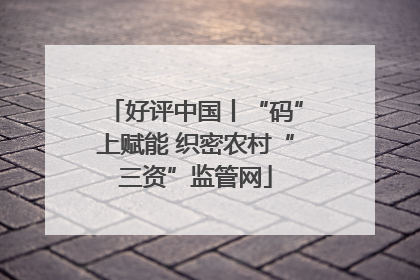 好评中国丨“码”上赋能 织密农村“三资”监管网