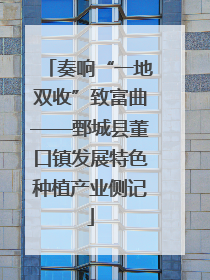 奏响“一地双收”致富曲——鄄城县董口镇发展特色种植产业侧记