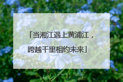 当湘江遇上黄浦江，跨越千里相约未来