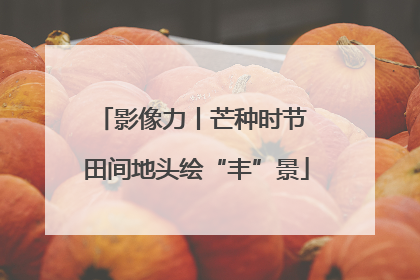 影像力丨芒种时节 田间地头绘“丰”景
