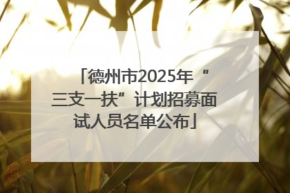 德州市2025年“三支一扶”计划招募面试人员名单公布