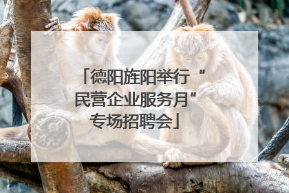 德阳旌阳举行“民营企业服务月”专场招聘会