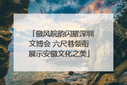 徽风皖韵闪耀深圳文博会 六尺巷领衔展示安徽文化之美