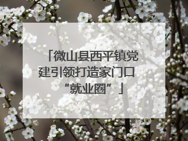微山县西平镇党建引领打造家门口“就业圈”