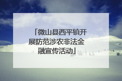 微山县西平镇开展防范涉农非法金融宣传活动