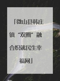 微山县韩庄镇“双圈”融合织就民生幸福网
