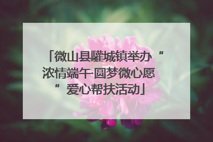 微山县驩城镇举办“浓情端午·圆梦微心愿”爱心帮扶活动
