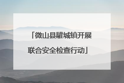 微山县驩城镇开展联合安全检查行动