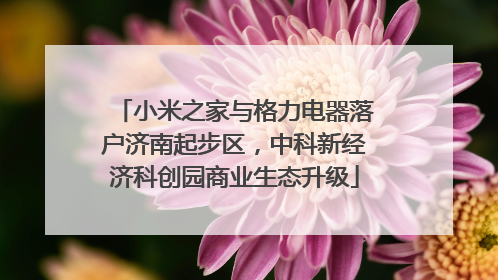 小米之家与格力电器落户济南起步区，中科新经济科创园商业生态升级