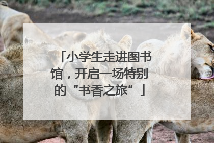 小学生走进图书馆，开启一场特别的“书香之旅”