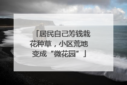居民自己筹钱栽花种草，小区荒地变成“微花园”