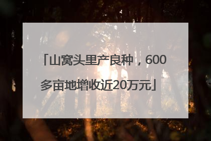 山窝头里产良种，600多亩地增收近20万元