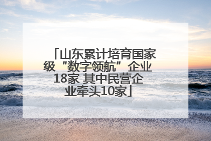 山东累计培育国家级“数字领航”企业18家 其中民营企业牵头10家