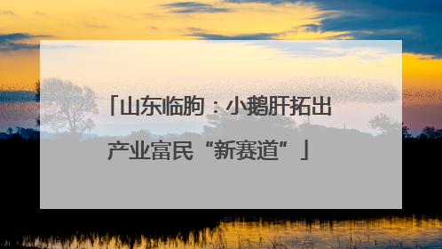 山东临朐：小鹅肝拓出产业富民“新赛道”