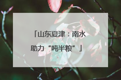 山东夏津：南水助力“吨半粮”