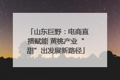 山东巨野：电商直播赋能 黄桃产业“甜”出发展新路径