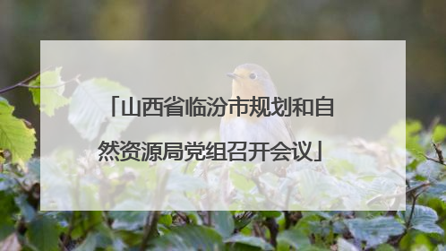 山西省临汾市规划和自然资源局党组召开会议