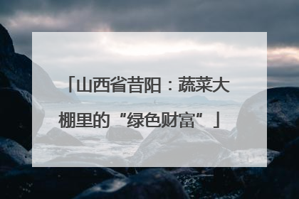 山西省昔阳：蔬菜大棚里的“绿色财富”