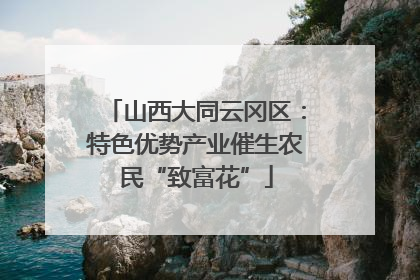 山西大同云冈区：特色优势产业催生农民“致富花”