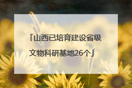 山西已培育建设省级文物科研基地26个