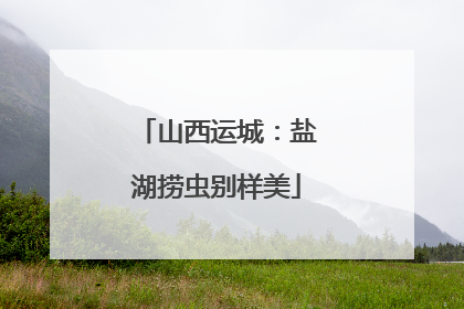 山西运城：盐湖捞虫别样美