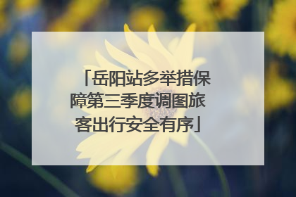 岳阳站多举措保障第三季度调图旅客出行安全有序
