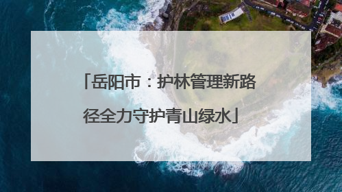 岳阳市：护林管理新路径全力守护青山绿水