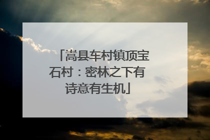 嵩县车村镇顶宝石村：密林之下有诗意有生机