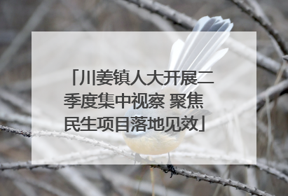 川姜镇人大开展二季度集中视察 聚焦民生项目落地见效