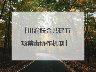 川渝联合共建五项禁毒协作机制