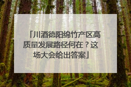 川酒德阳绵竹产区高质量发展路径何在？这场大会给出答案