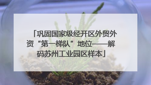 巩固国家级经开区外贸外资“第一梯队”地位——解码苏州工业园区样本