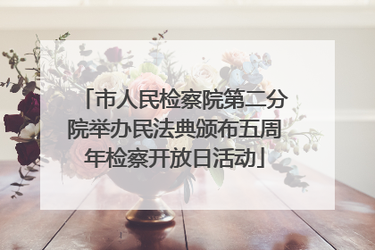 市人民检察院第二分院举办民法典颁布五周年检察开放日活动