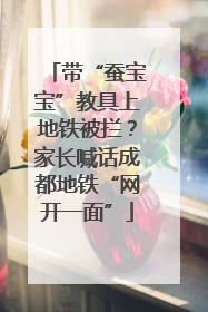 带“蚕宝宝”教具上地铁被拦？家长喊话成都地铁“网开一面”