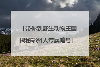 带你到野生动物王国揭秘鄂州人专属暗号