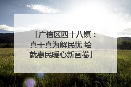 广信区四十八镇：真干真为解民忧 绘就惠民暖心新画卷
