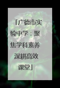 广德市实验中学：聚焦学科素养 深耕高效课堂