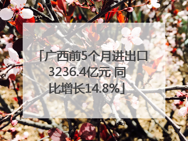广西前5个月进出口3236.4亿元 同比增长14.8%