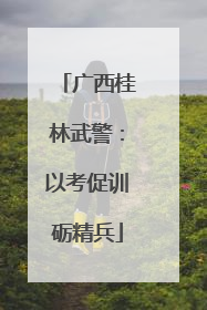 广西桂林武警：以考促训砺精兵