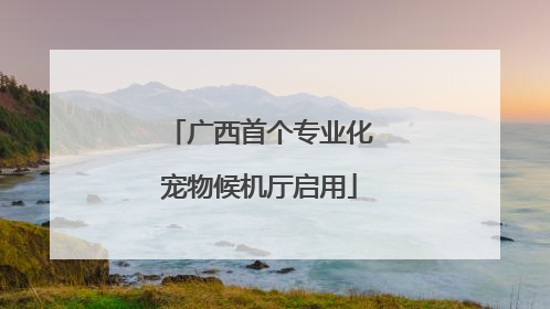 广西首个专业化宠物候机厅启用