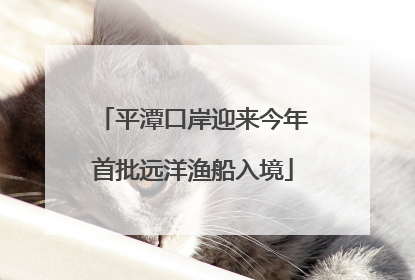 平潭口岸迎来今年首批远洋渔船入境