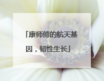 康师傅的航天基因，韧性生长