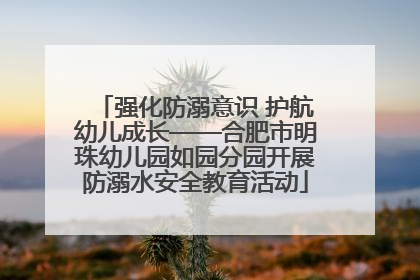 强化防溺意识 护航幼儿成长——合肥市明珠幼儿园如园分园开展防溺水安全教育活动