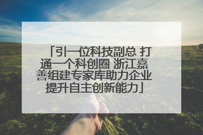 引一位科技副总 打通一个科创圈 浙江嘉善组建专家库助力企业提升自主创新能力